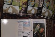 IMG_20201007_083132_compress81