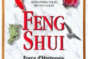 Feng Shui 1