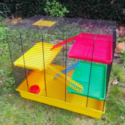 Capture d’écran 2024-08-05 à 10.46.36