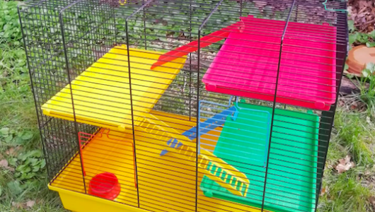 Capture d’écran 2024-08-05 à 10.46.36 Capture d’écran 2024-08-05 à 10.46.36