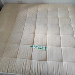 1000041548