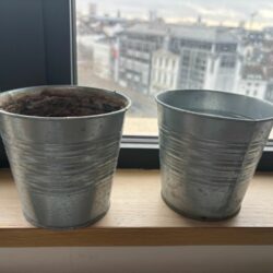 Socker pots