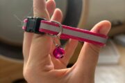 collier avec clochette pour chat