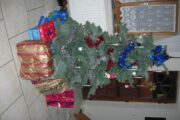 DSCN0023