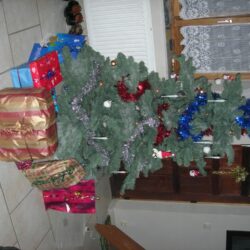DSCN0023
